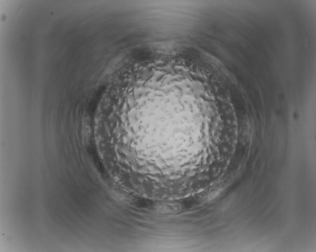 X0000062800707200512261555