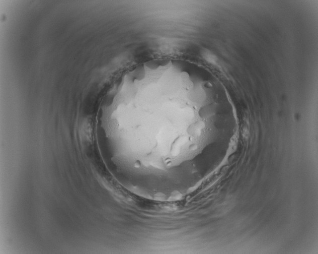 X0000062800715200512261555