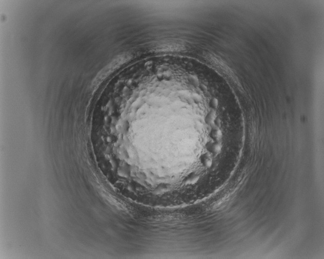 X0000062800721200512261554