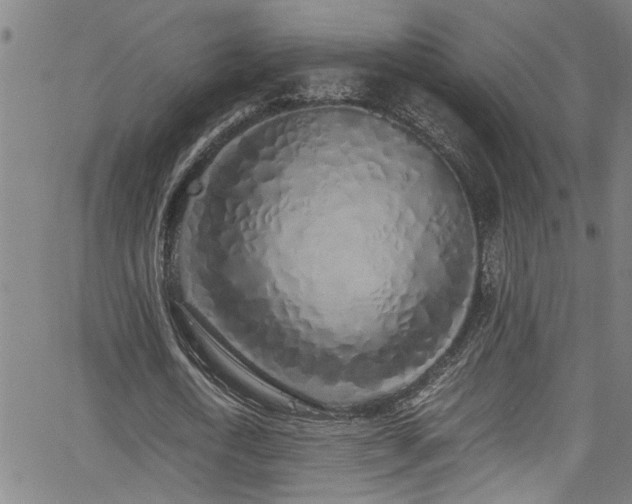 X0000062800722200512261554
