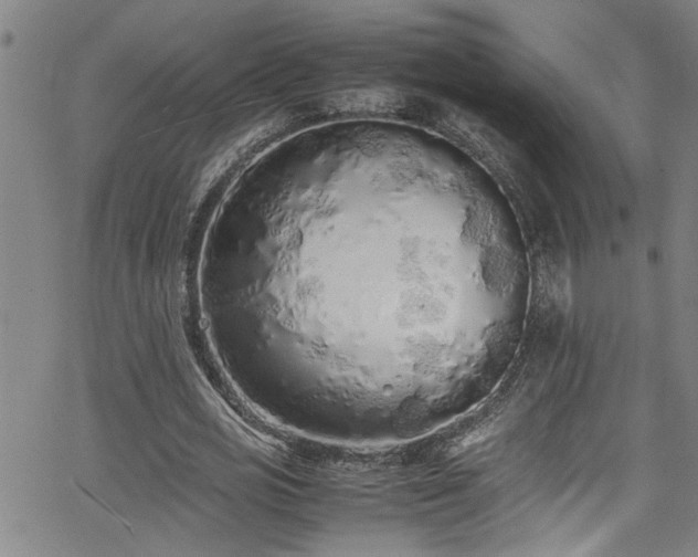 X0000062800725200512261554
