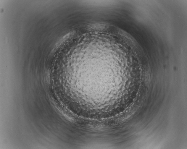 X0000062800729200512261555