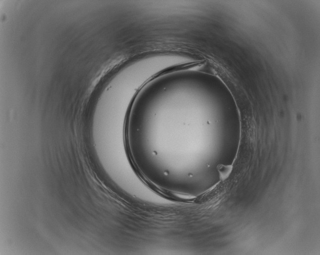 X0000062800731200512261555