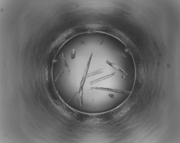 X0000062800734200512261555
