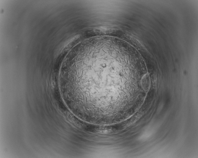 X0000062800746200512261555