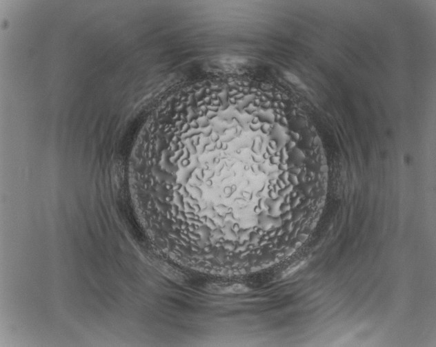 X0000062800747200512261555