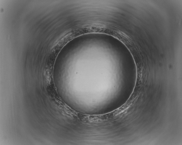 X0000062800774200512261554