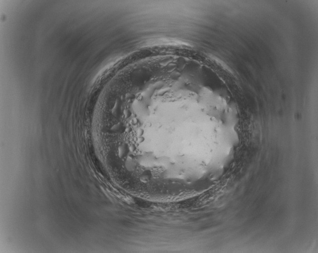 X0000062800775200512261554