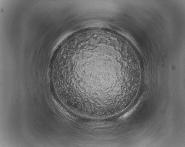 X0000062800783200512261554