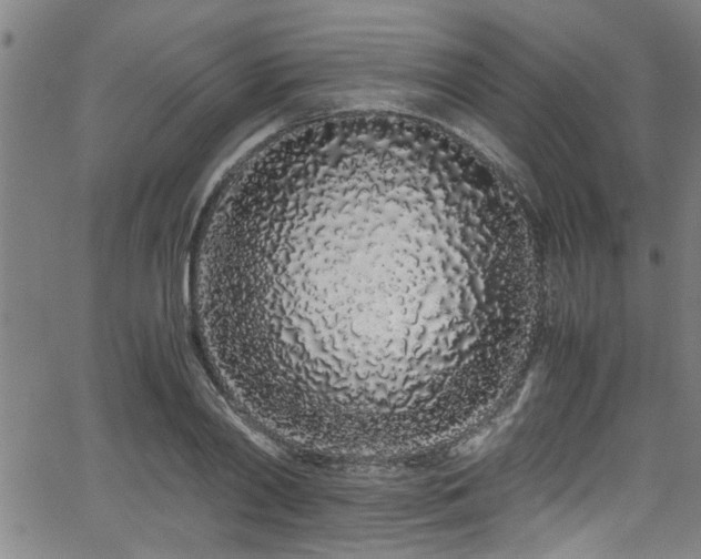 X0000062800790200512261554