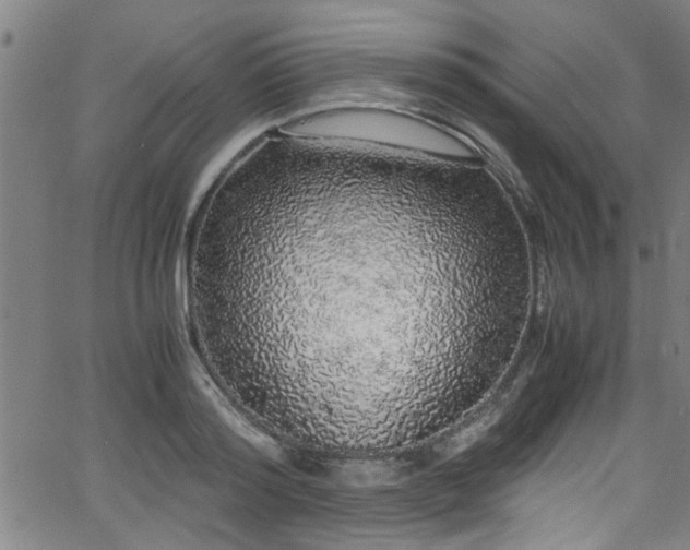 X0000062800796200512261554