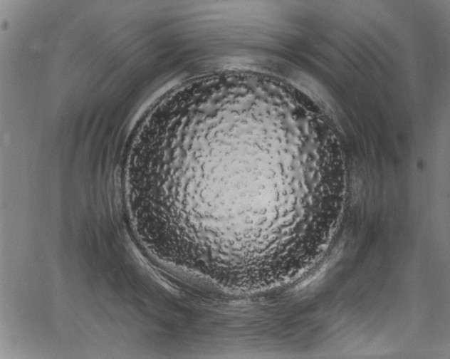 X0000062800798200512261554