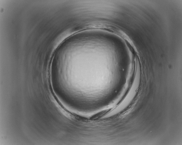 X0000062800803200512261554