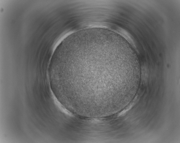 X0000062800814200512261554