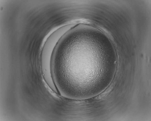 X0000062800816200512261554