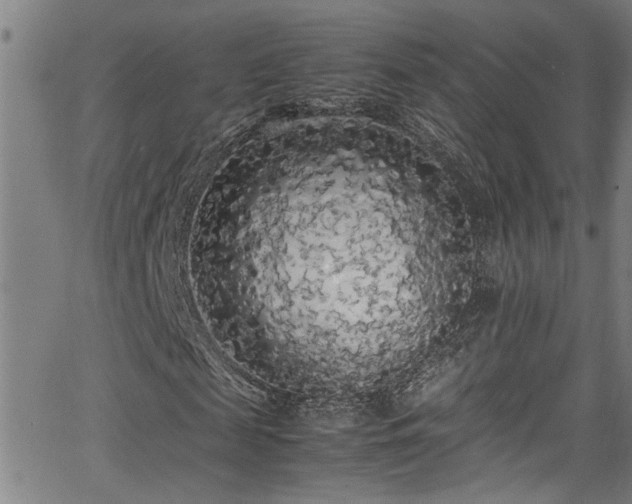 X0000062800817200512261553