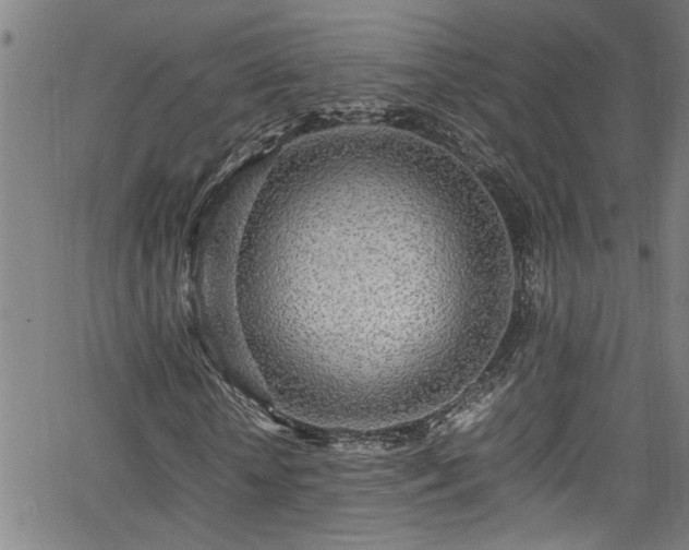 X0000062800818200512261553