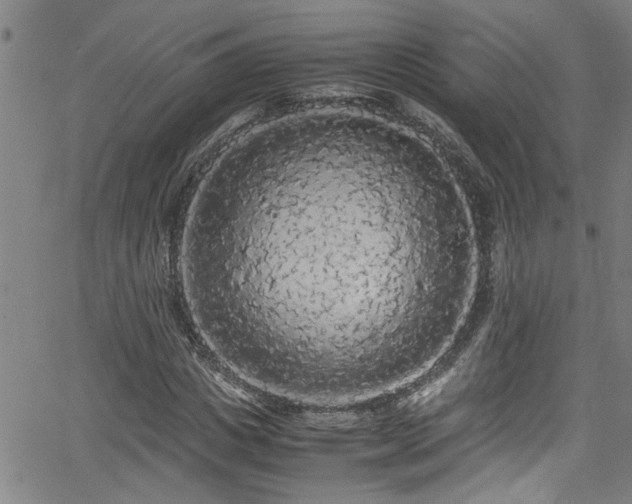 X0000062800825200512261553