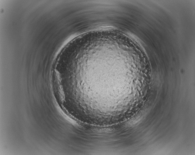 X0000062800851200512261553