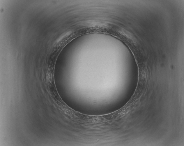 X0000062800869200512261553