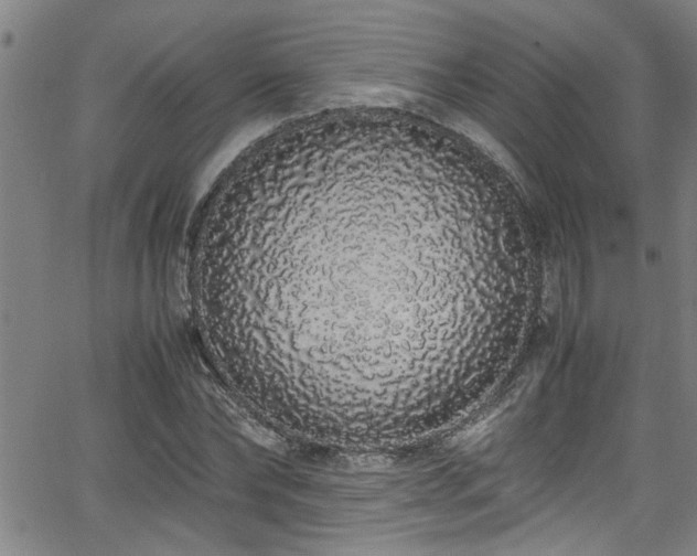 X0000062800878200512261553