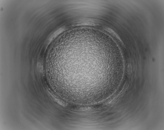X0000062800882200512261552