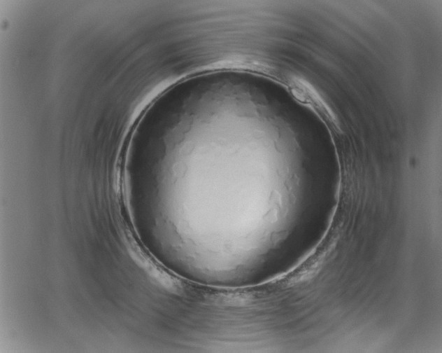 X0000062800900200512261552
