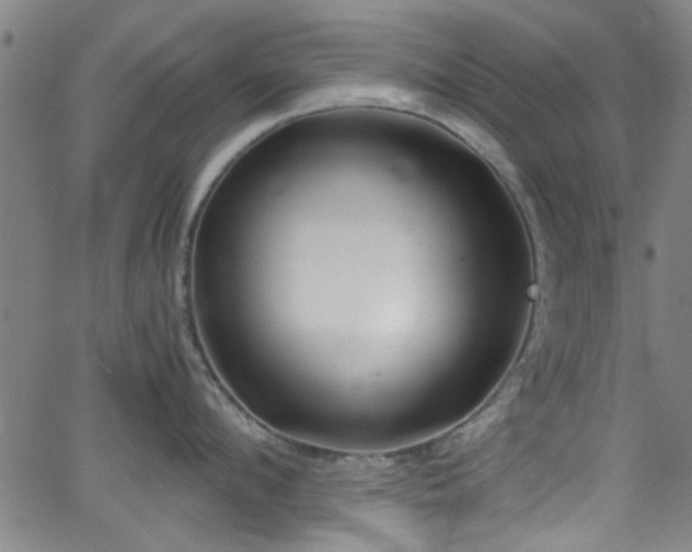 X0000062800912200512261552
