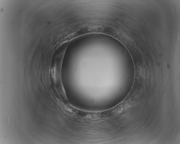 X0000062800914200512261551