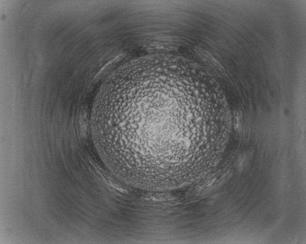 X0000062800915200512261551