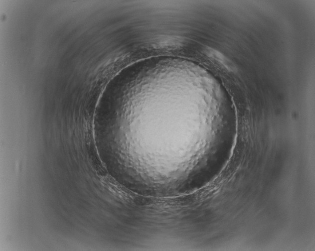 X0000062800917200512261551