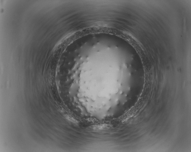X0000062800919200512261551