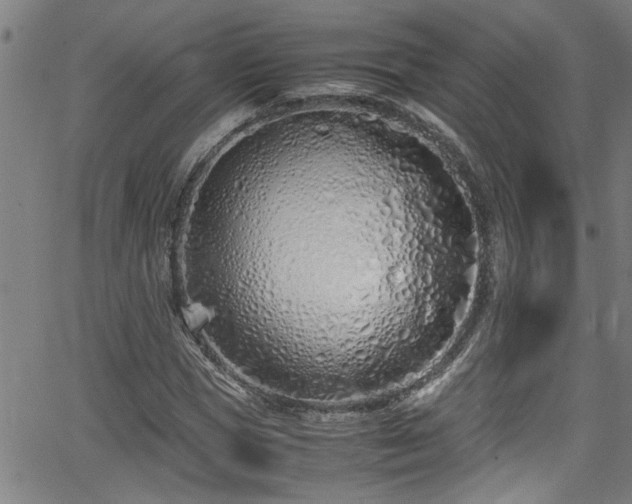 X0000062800921200512261551