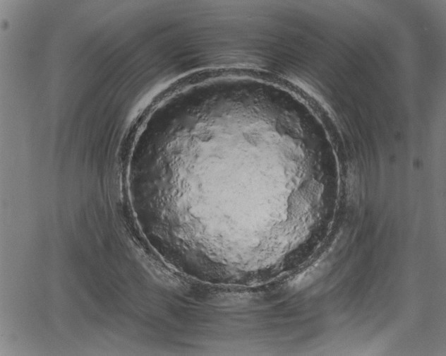 X0000062800925200512261551