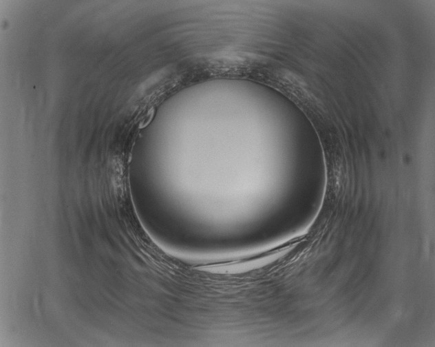 X0000062800964200512261551