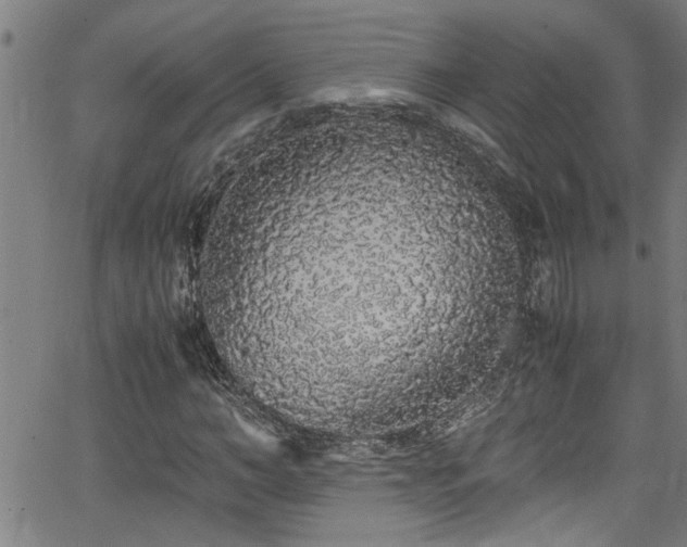 X0000062800966200512261551