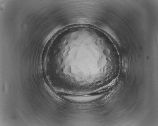 X0000062800972200512261551