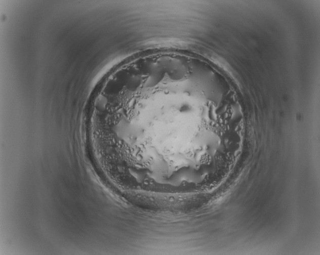 X0000062800983200512261551