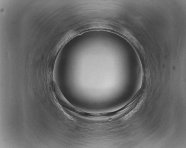 X0000062800993200512261551