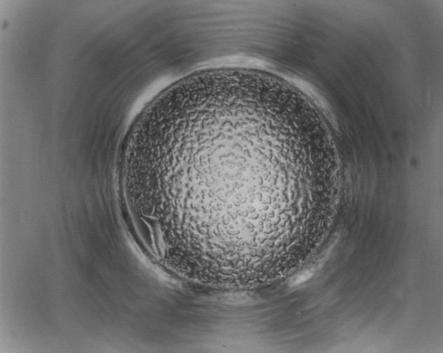 X0000062800998200512261550