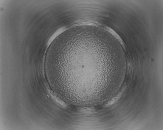 X0000062801002200512261550
