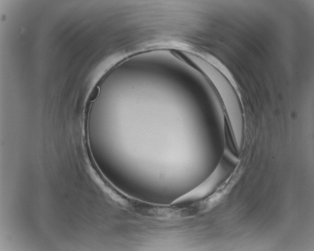 X0000062801005200512261550