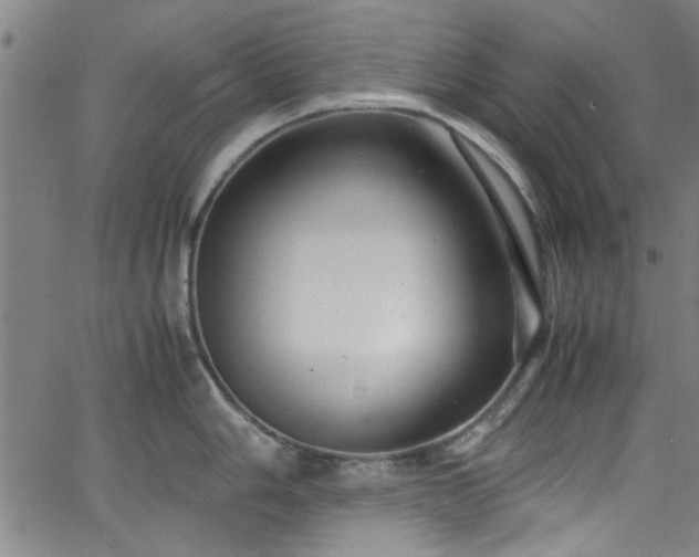 X0000062801006200512261550