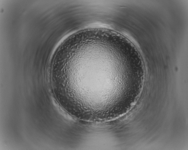 X0000062801008200512261550