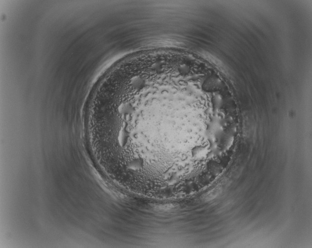 X0000062801031200512261550