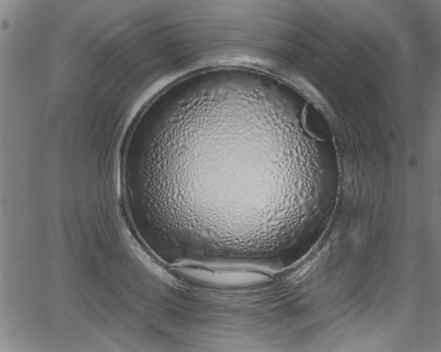 X0000062801036200512261550
