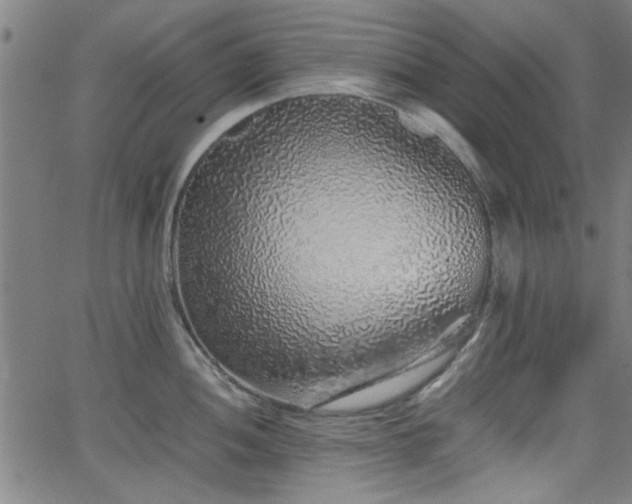 X0000062801052200512261550