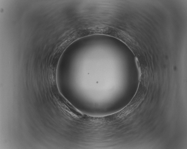 X0000062801058200512261550