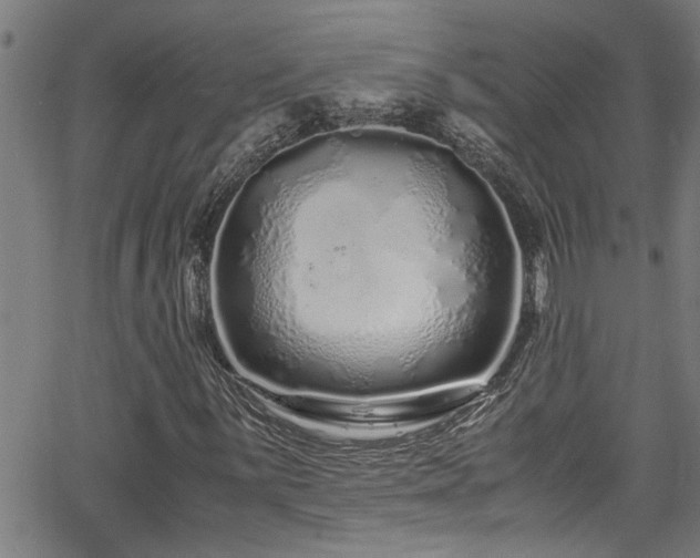 X0000062801059200512261549