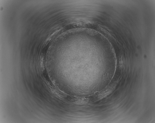 X0000062801060200512261549